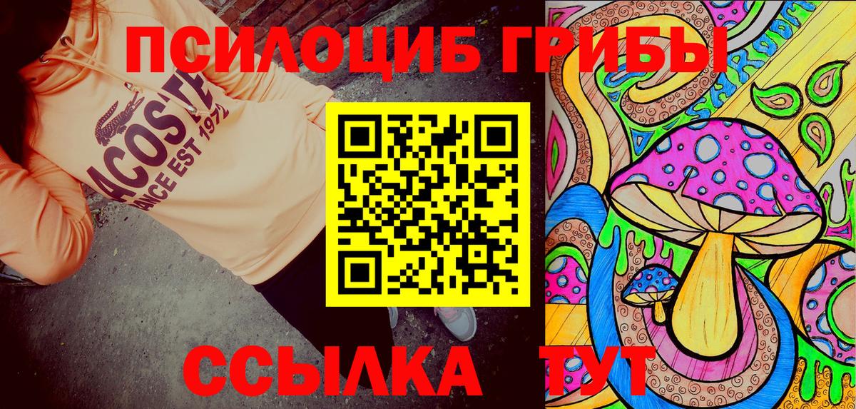 Галлюциногенные грибы прущие грибы  цены   Фрязино  Псилоцибиновые грибы мицелий  Вход с VPN 